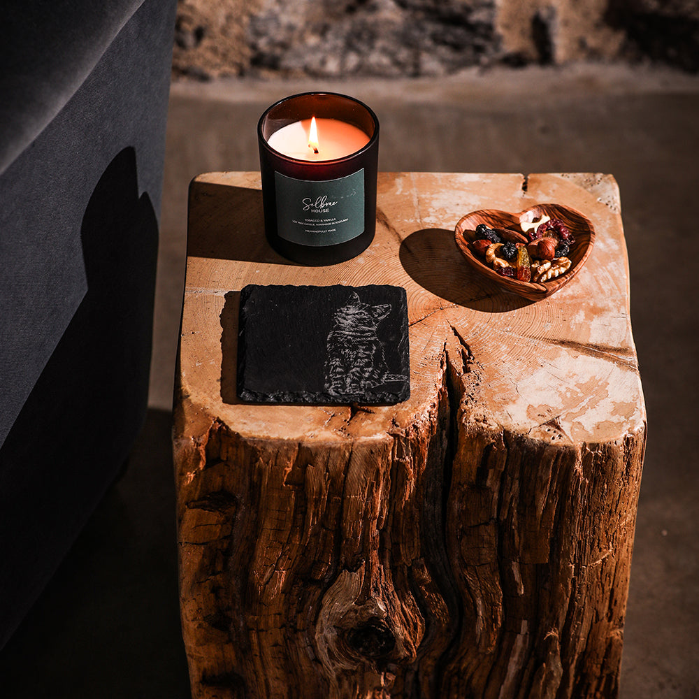 Tabby Cat Single Slate Coaster