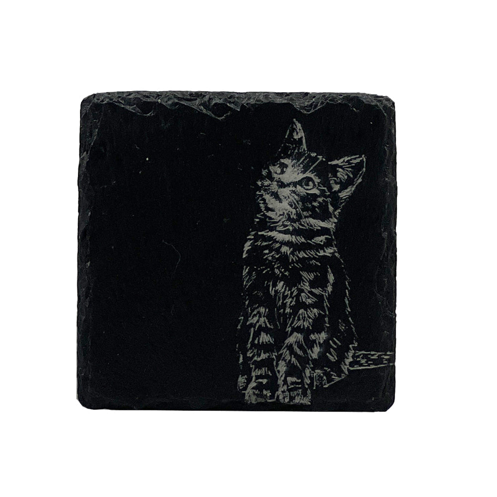 Tabby Cat Single Slate Coaster
