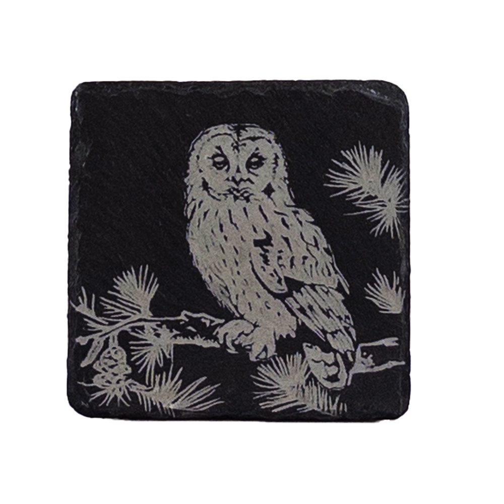 Tawny Owl Single Slate Coaster