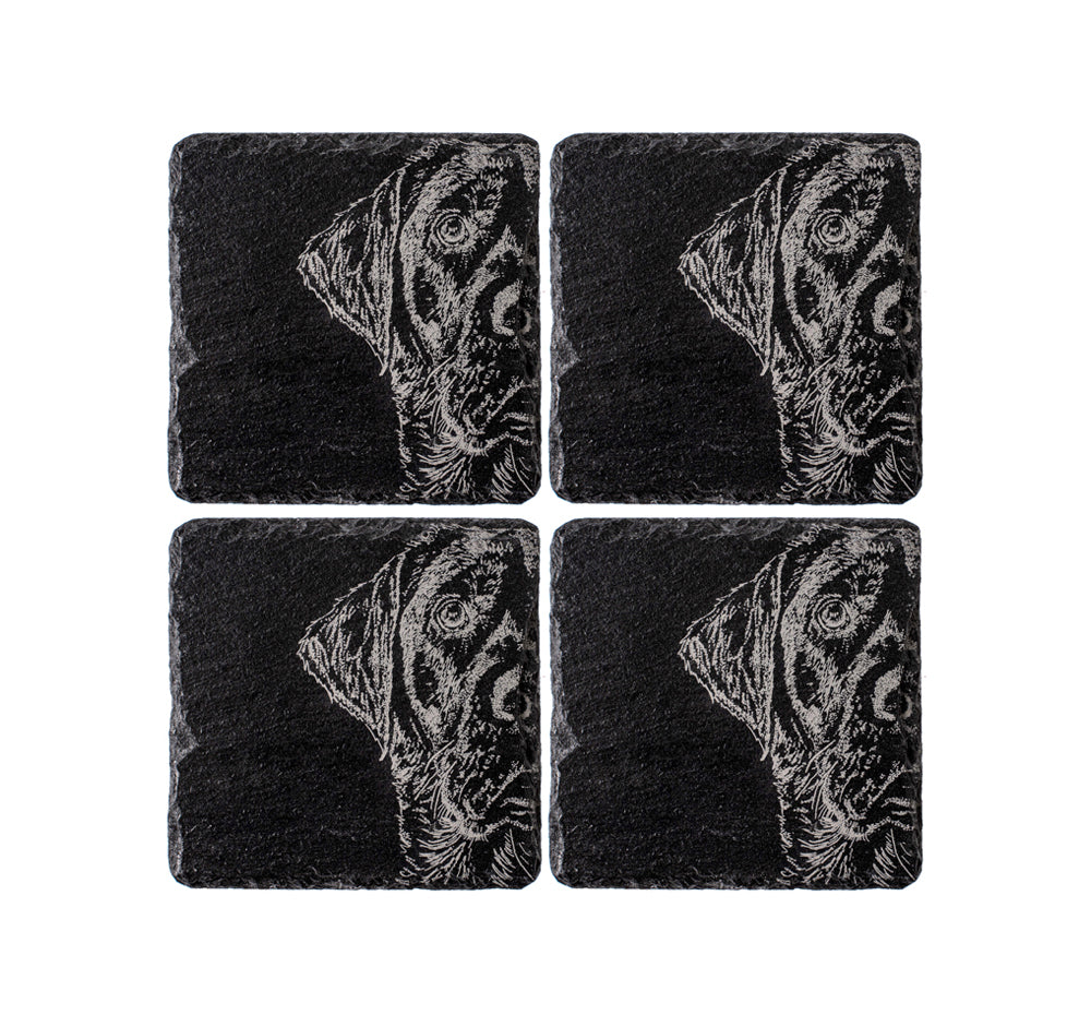 Labrador Slate Coasters - Set of 4