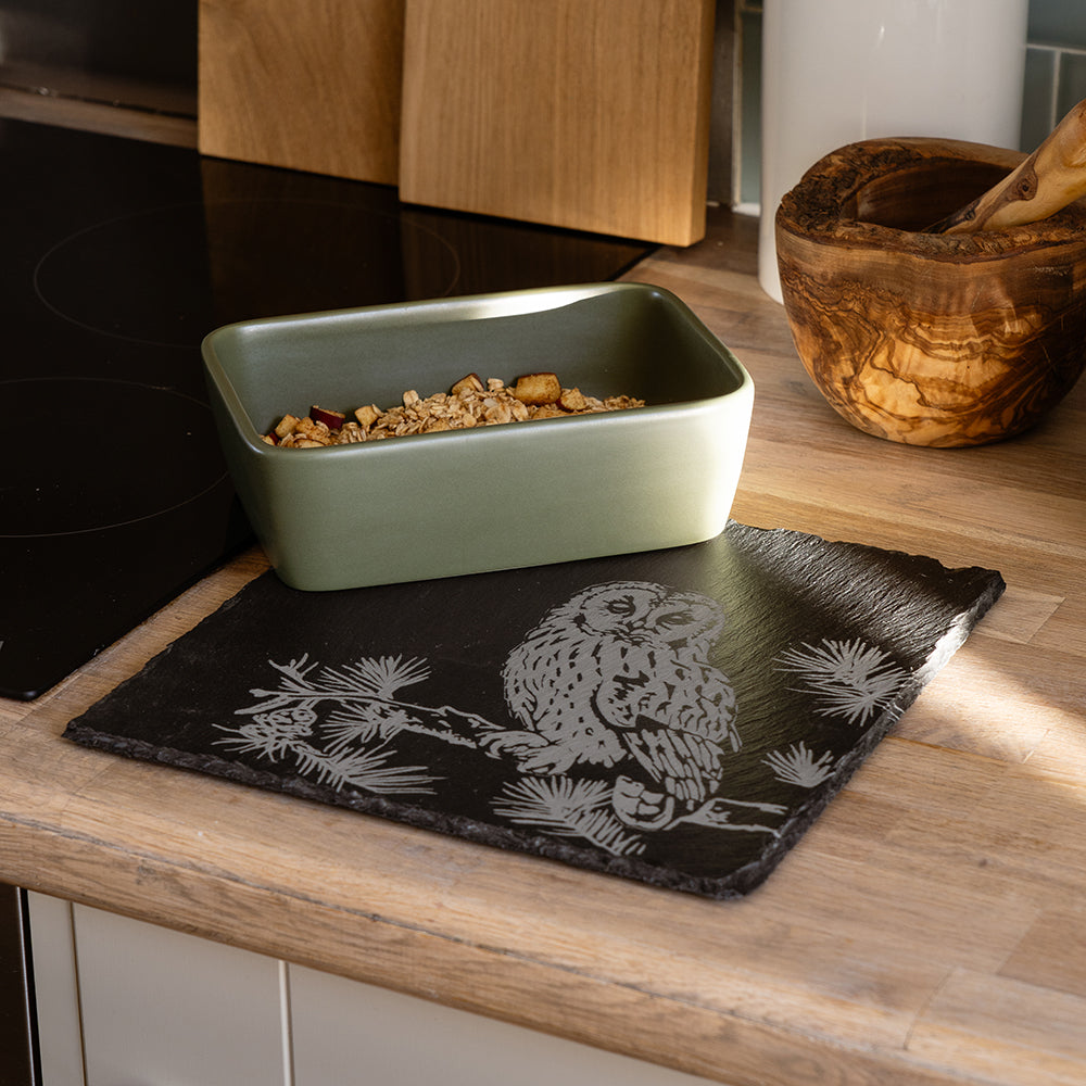 Tawny Owl Slate Pot Stand