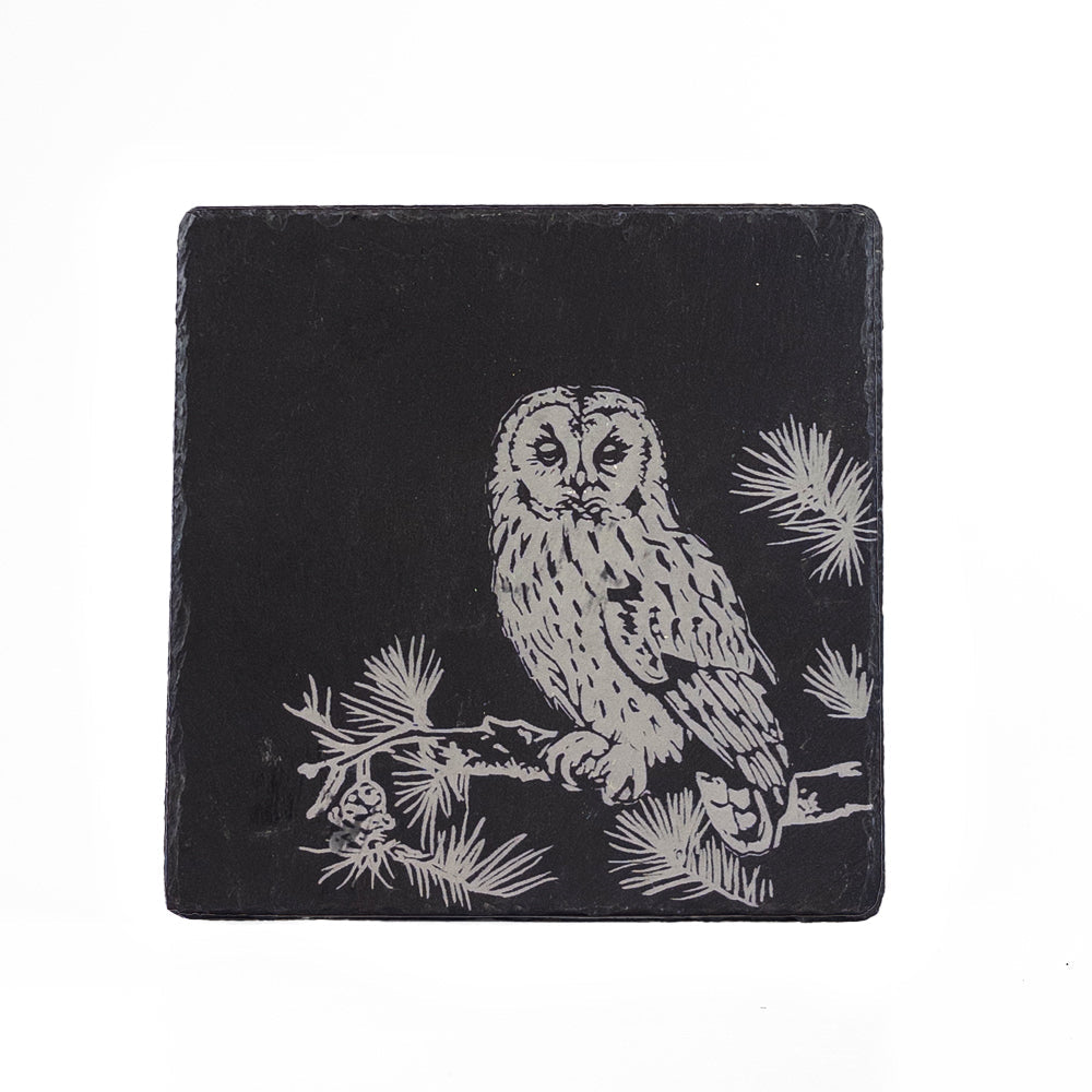 Tawny Owl Slate Pot Stand