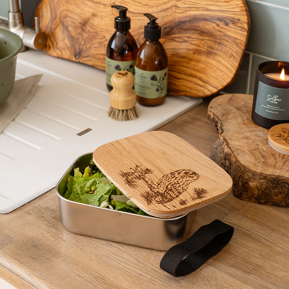 Tawny Owl Lunch Box