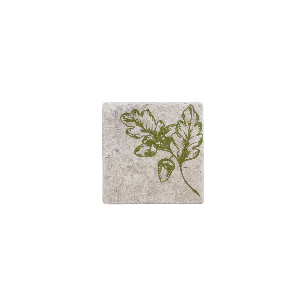 Acorn Stone Coaster