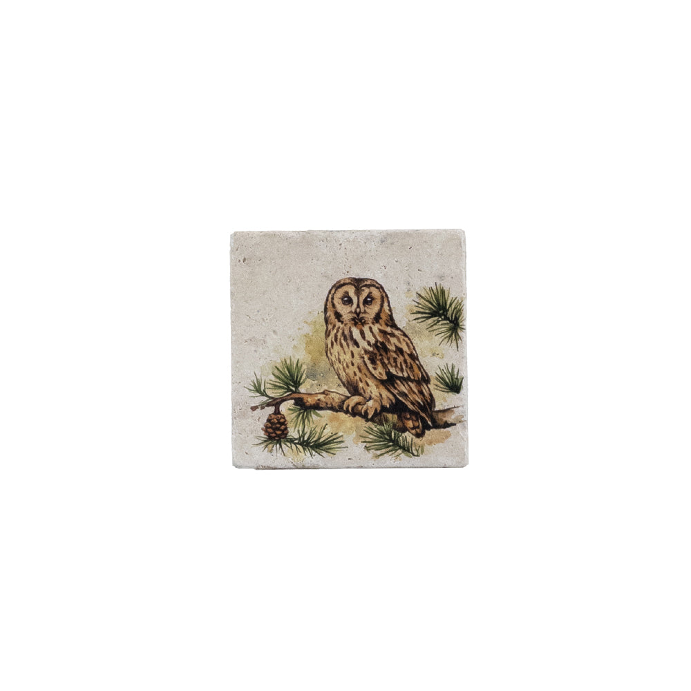 Tawny Owl Stone Coaster