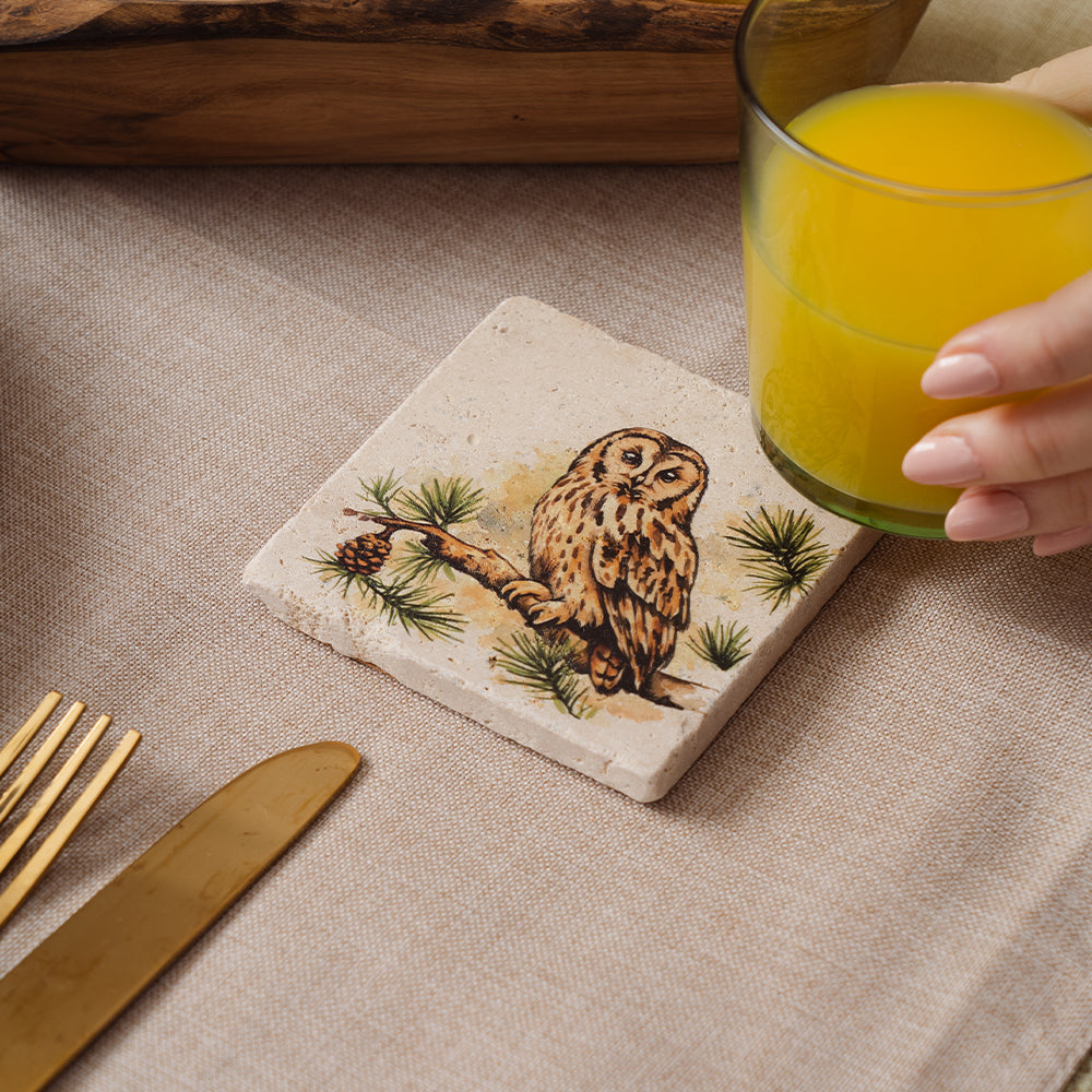 Tawny Owl Stone Coaster