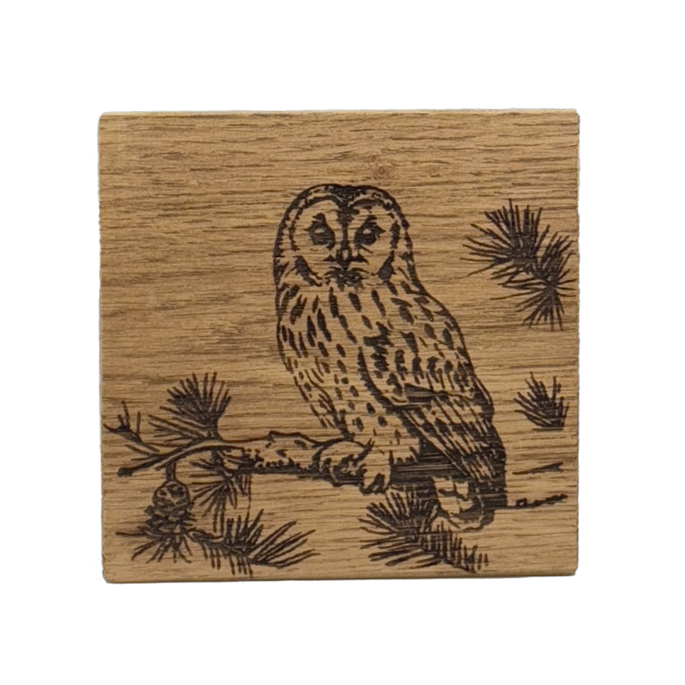 Tawny Owl Single Oak Coaster