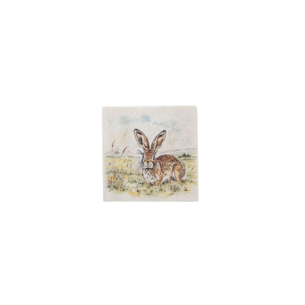 Scenic Hare Single Stone Coaster